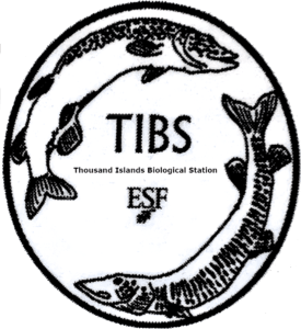 ESF TIBS